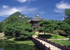 三代试管婴儿技术，在发育速度与成功率之间的权衡
