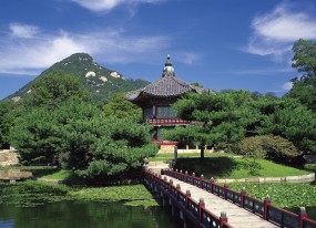 三代试管婴儿技术，在发育速度与成功率之间的权衡